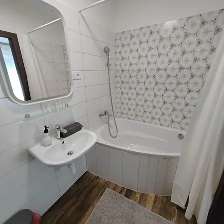 住宿加早餐酒店 Panzio