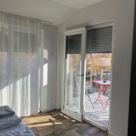 Panzio * 巴拉通雷勒